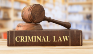 Top Criminal Lawyer Pune